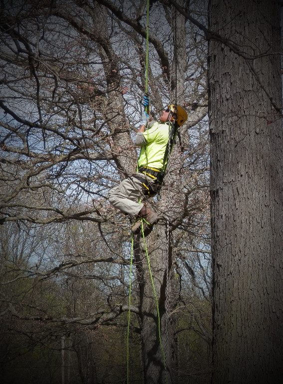 IBEW Local Union 1919